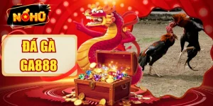 Đá Gà GA888 - Đấu Trường Kịch Tính Với Loạt Kèo Hấp Dẫn  